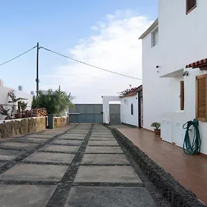 Palmeras Villa Ingenio